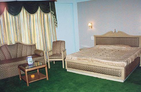 Hotel Ankit Palace